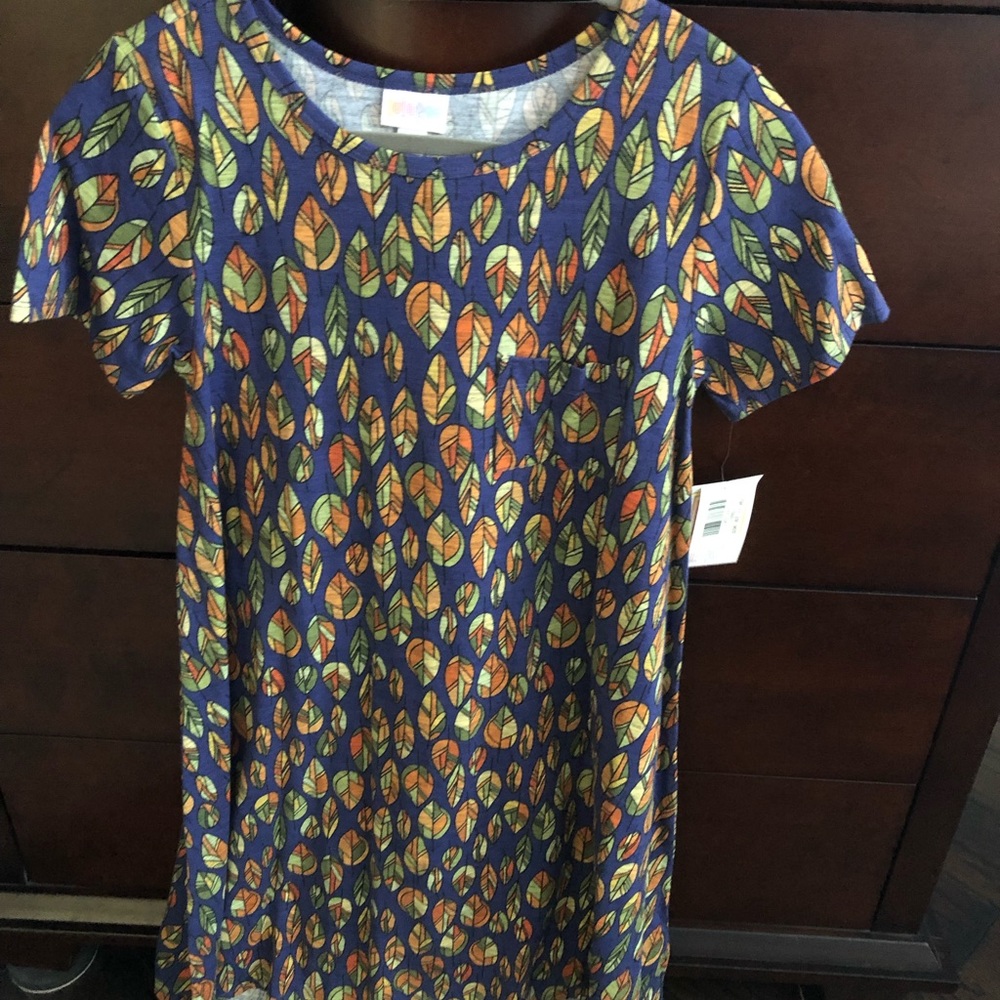 XXS LuLaRoe Carly dress